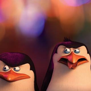 The Penguins of Madagascar wallpaper