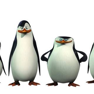 The Penguins of Madagascar wallpaper