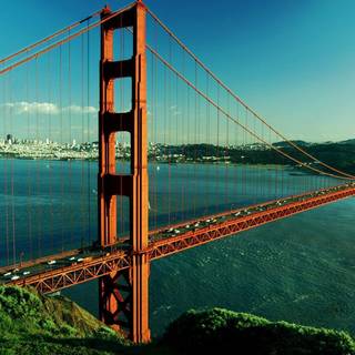 San Francisco city wallpaper