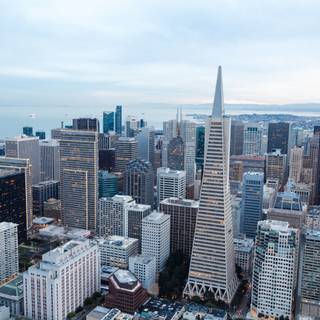 San Francisco city wallpaper