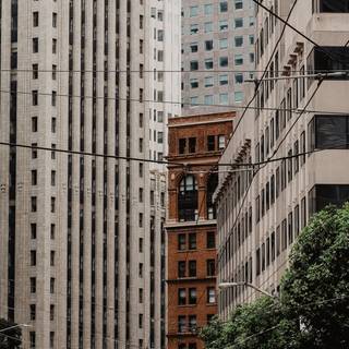 San Francisco city wallpaper