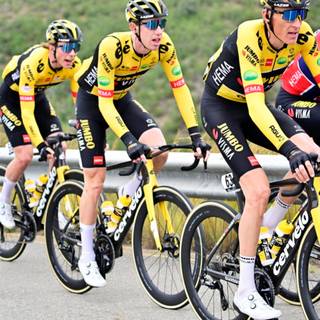 Jumbo Visma wallpaper