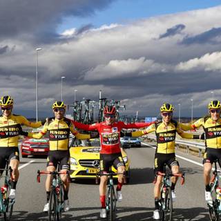 Jumbo Visma wallpaper