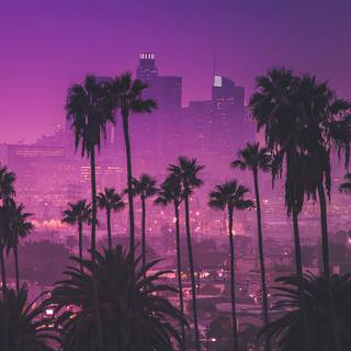Los Angeles aesthetic wallpaper