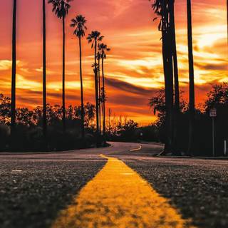 Los Angeles aesthetic wallpaper