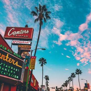 Los Angeles aesthetic wallpaper