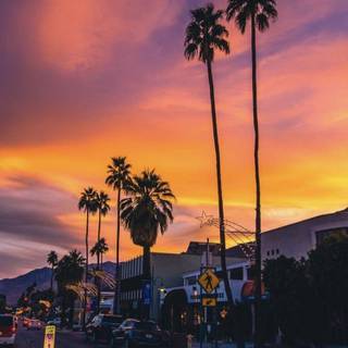 Los Angeles aesthetic wallpaper