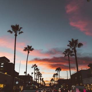 Los Angeles aesthetic wallpaper