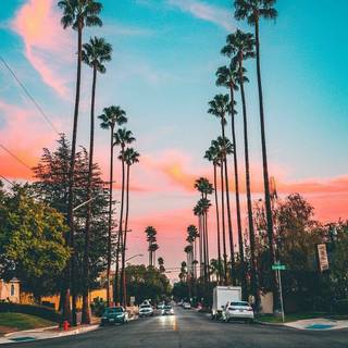 Los Angeles aesthetic wallpaper