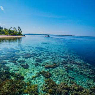 Wakatobi wallpaper