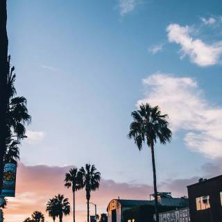 Los Angeles aesthetic wallpaper