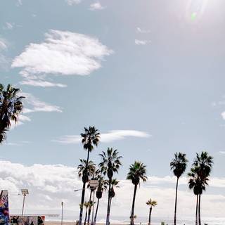 Los Angeles aesthetic wallpaper