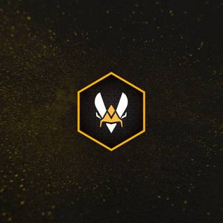 Team Vitality wallpaper