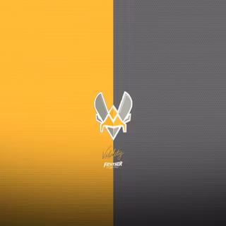 Team Vitality wallpaper