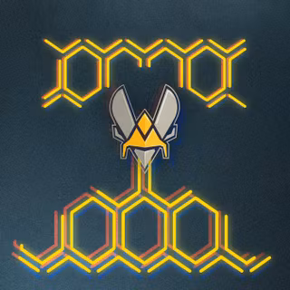Team Vitality wallpaper