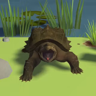 Alligator snapping turtle wallpaper