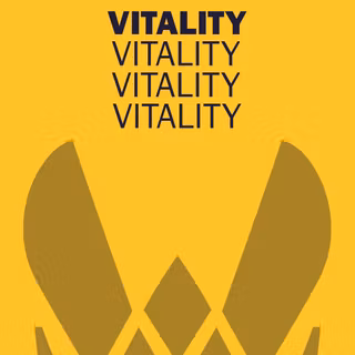 Team Vitality wallpaper