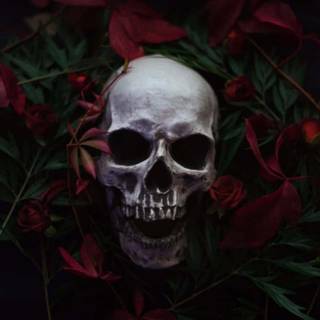 Horror love wallpaper