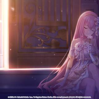 Nightcord at 25:00 wallpaper