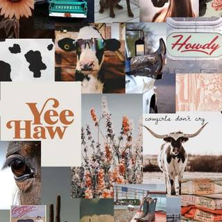 Preppy country wallpaper