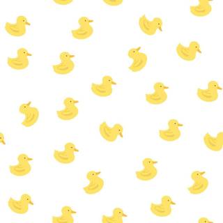 Duck aesthetic wallpaper