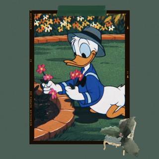 Duck aesthetic wallpaper