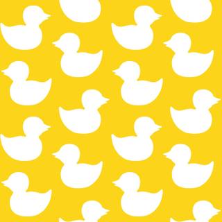 Duck aesthetic wallpaper