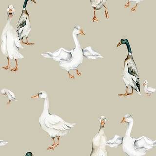 Duck aesthetic wallpaper