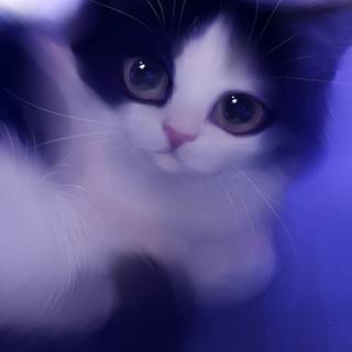 Sweet cat wallpaper