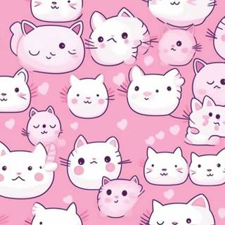 Sweet cat wallpaper