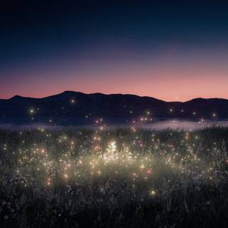 Invent Animate wallpaper