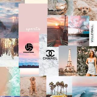 Preppy volleyball collage wallpaper