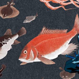 Samurai Champloo Jin wallpaper