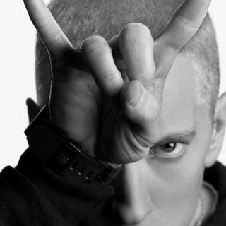 The Marshall Mathers LP wallpaper
