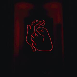 Neon red and black wallpaper