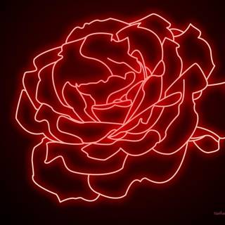 Neon red and black wallpaper