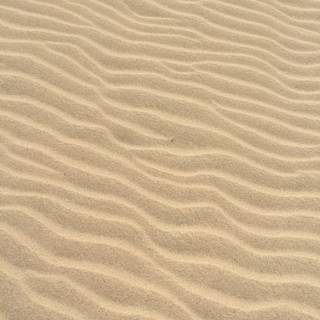 Sand texture wallpaper