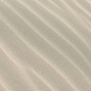Sand texture wallpaper