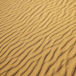 Sand texture wallpaper