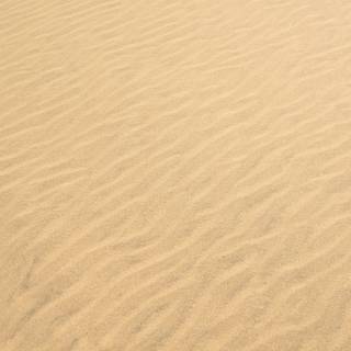 Sand texture wallpaper