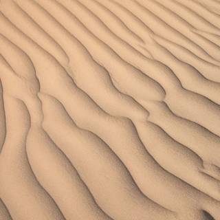 Sand texture wallpaper