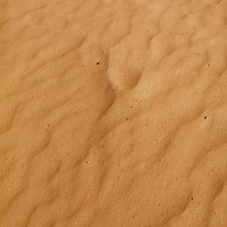 Sand texture wallpaper