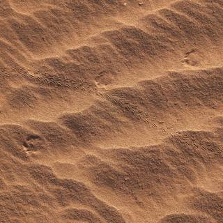 Sand texture wallpaper