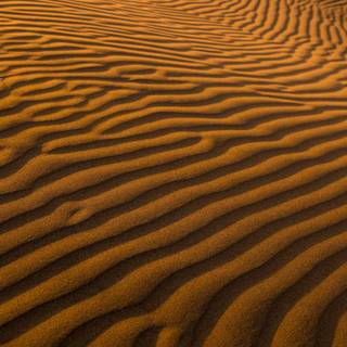 Sand texture wallpaper