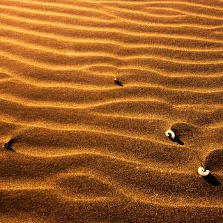 Sand texture wallpaper