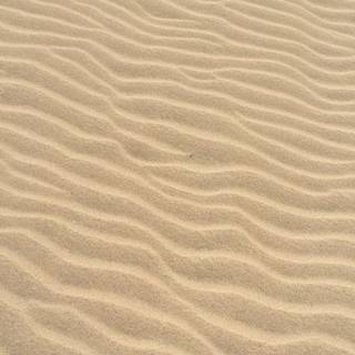 Sand texture wallpaper