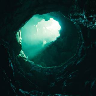 Water hole wallpaper