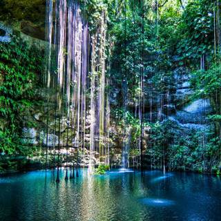 Water hole wallpaper