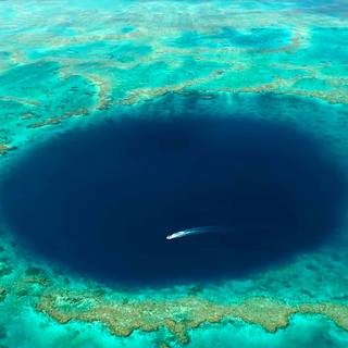 Water hole wallpaper