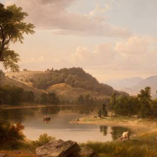 Water hole wallpaper